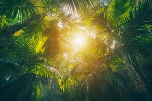 AI generated The sun shining through the canopy of tall, lush palm trees photo