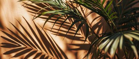 AI generated The interplay of light and shadow from tropical palm leaves creates an artistic pattern on a warm, textured wall photo