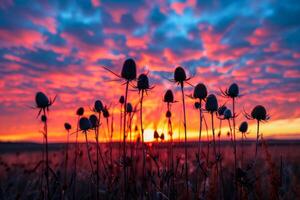 AI generated Dried plants stand silhouetted against a dramatic sunset sky, painting a scene of natural tranquility and the days end photo