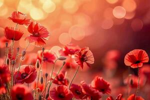 AI generated An enchanting close-up of bright red poppies basking in the soft glow of sunlight, highlighting their delicate petals photo