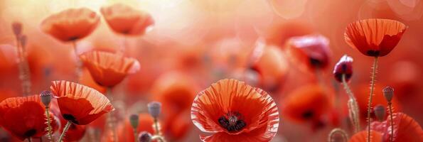 ai generado el delicado belleza de rojo amapolas en un campo es capturado con un suave enfocar, evocando un sentido de de ensueño preguntarse foto