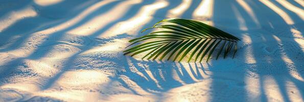 AI generated Palm leaf shadow on a textured white sand background with sunlight patterns on the surface photo