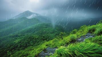 Lush Green Field With Rain Next to Forest photo