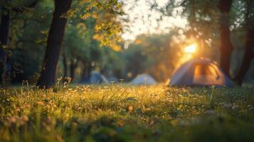 Group of Tents Pitched Up in Grass photo