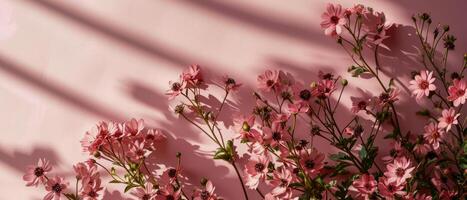 AI generated Pink Cosmos Flowers with Elegant Shadows photo