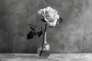 Timeless Elegance Single Rose in Monochrome Still Life photo