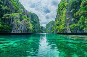 Majestic Lake Surrounded by Mountains and Trees photo