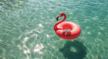 Pink Flamingo Floating on Water photo
