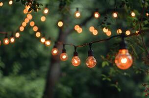 Light Bulbs Hanging From a Tree photo