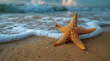 estrella de mar en arenoso playa por Oceano foto