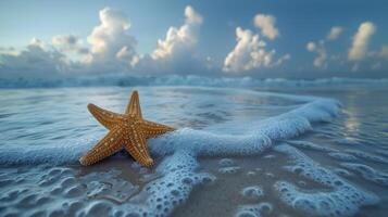 Starfish on Sandy Beach by Ocean photo