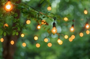 Light Bulbs Hanging From a Tree photo