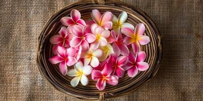 Tropical Frangipani Flowers in Woven Basket Top View photo
