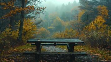 Picnic Table in Forest Clearing photo