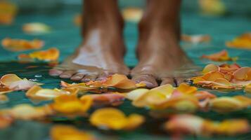 Persons Feet Submerged in Water in Close-up Shot photo