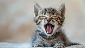 Small Kitten Yawns on Blanket photo