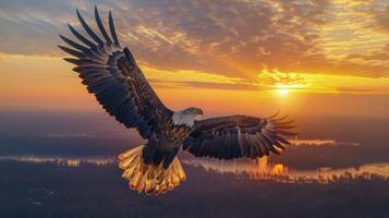 majestuoso calvo águila volador en frente de un puesta de sol foto