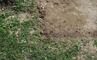 brown earth texture background photo