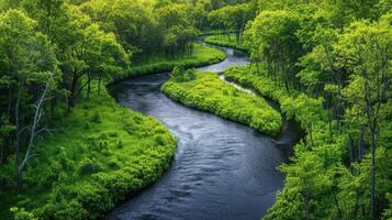 Stream Flowing Through Lush Green Forest photo