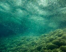 sea underwater scene background photo