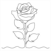 Continuous single line drawing of beautiful rose flowers outline illustration vector