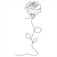 Continuous single line drawing of beautiful rose flowers outline illustration vector