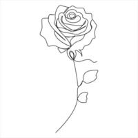 Continuous single line drawing of beautiful rose flowers outline illustration vector