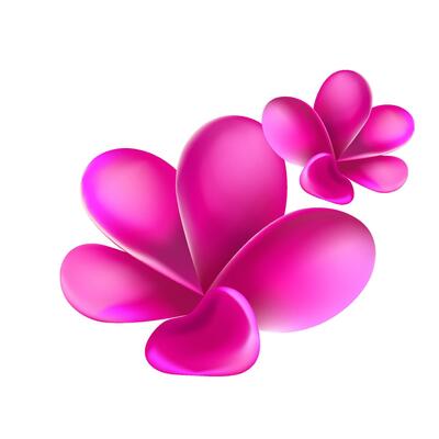 jungle flower,leaves tropic set. isolated elements. Palm leaf, monstera, pink plumeria flower,hibiscus blossom, exotic tropical summer flowers and leaves.