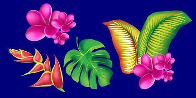 jungle flower,leaves tropic set. isolated elements. Palm leaf, monstera, pink plumeria flower,hibiscus blossom, exotic tropical summer flowers and leaves. vector