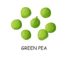 green pea seeds hand drawn in cartoon style vector