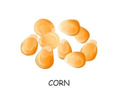 hand drawn corn seeds in cartoon style vector