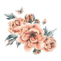 Delicate flowers, buds and leaves of peach and pink peonies with butterflies in a trendy color and vintage style. Hand drawn watercolor illustration. Composition isolated from background vector