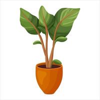 illustration of a potted houseplant with leaves. vector