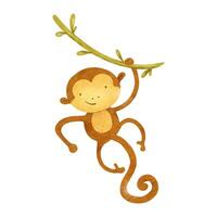 Cute baby monkey hanging on liana. Isolated hand drawn watercolor illustration of marmoset. African animal. Kid's Safari. Macaque fordesign baby shower, cards, posters, kid's goods and rooms vector