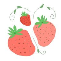 Strawberry red sweet berries and branches. Hand-drawn colored flat vector