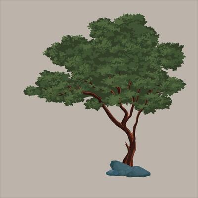 Beautiful lush tree on brown background. watercolor drawing. urban design elements