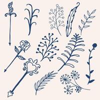 floral mano dibujado elementos colección vector