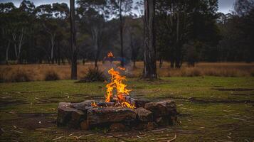 Twilight Blaze in a Forest Clearing photo