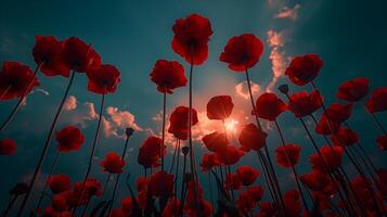 puesta de sol siluetas de rojo amapolas en contra un azul cielo foto