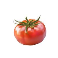 A red ripe tomato, showcasing its vibrant color and natural texture. photo