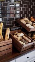 Fresh bread on shelves in bakery video