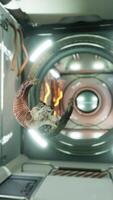 skull of dead ram in international space station video