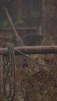 vecchia casa di legno rurale abbandonata nel villaggio russo in estate video