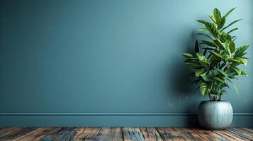 Potted Plant in a Minimalist Room Corner photo