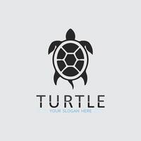 Turtle animal cartoon icon vector