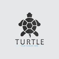 tortuga, animal, caricatura, icono vector