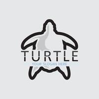 Turtle animal cartoon icon vector