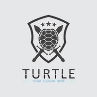 Turtle animal cartoon icon vector