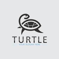 Turtle animal cartoon icon vector