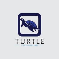 Turtle animal cartoon icon vector